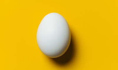 Brand-agency partnership: the chicken and egg dilemma