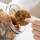 New data sets will help marketers break their cookie addiction