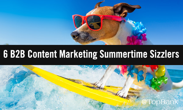 Dog surfing in the summer of B2B marketing image.