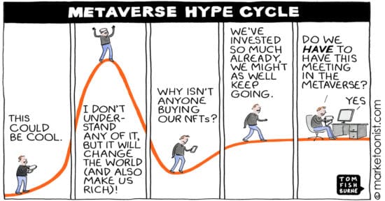Metaverse Hype Cycle cartoon