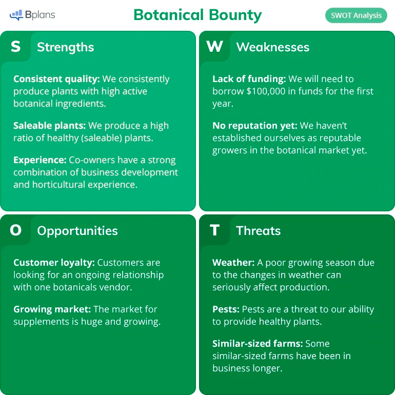 A marketing plan example from Botanical Beauty