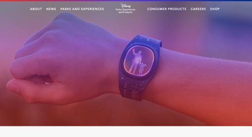 Photo of a MagicBand+ which resembles a wristwatch