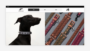 Modern clear website navigation seen by Hound Squad