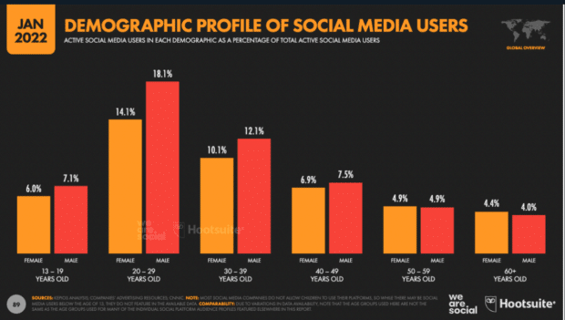 demographic profile of social media users