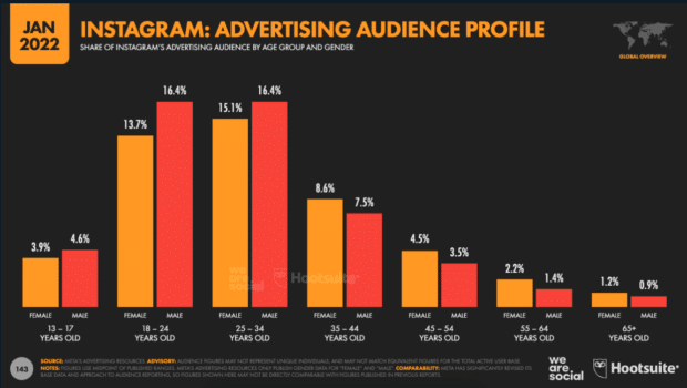 Instagram advertising audience profile