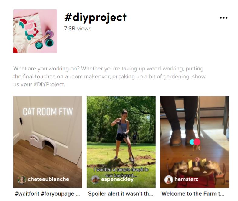 TikTok search result for the hashtag #diyproject with 3 video thumbnails