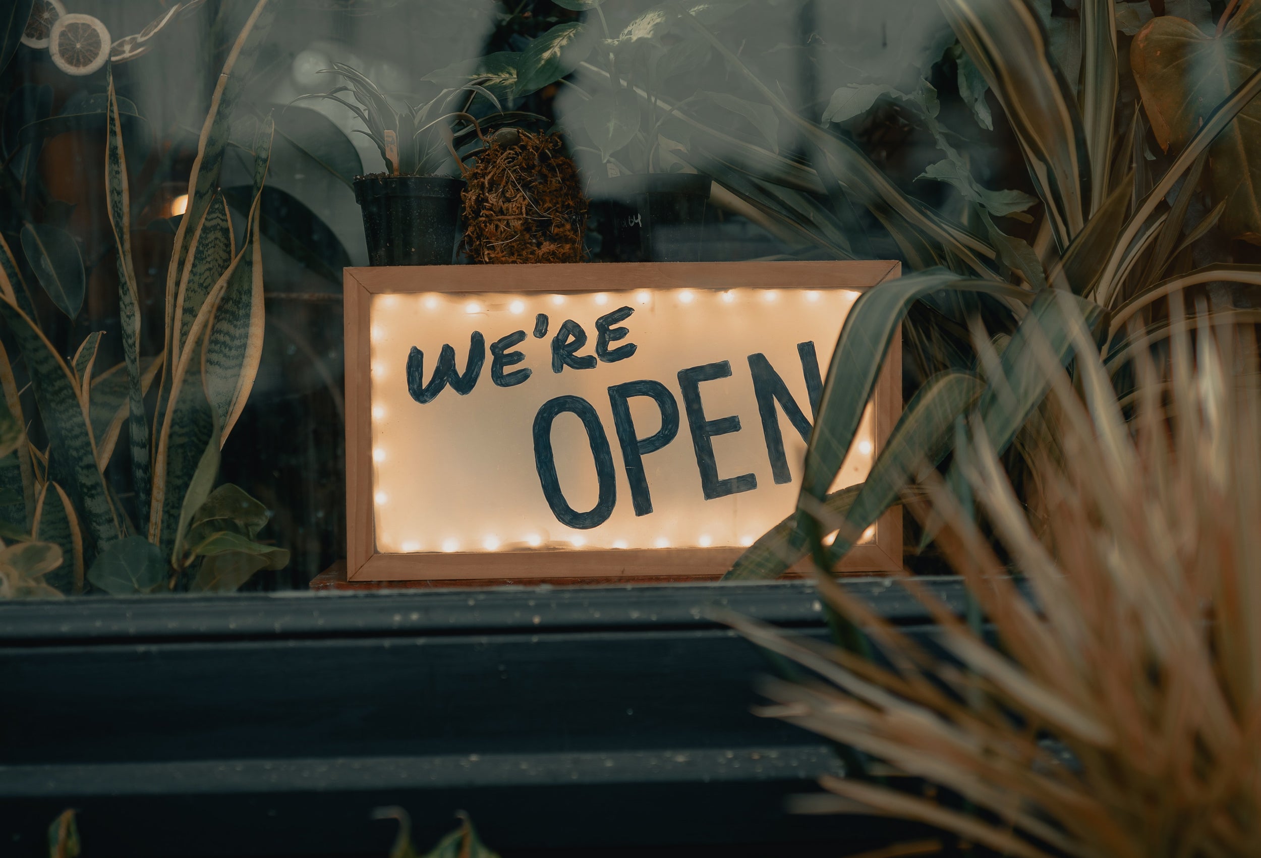A sign that reads "we're open" sits in a store window